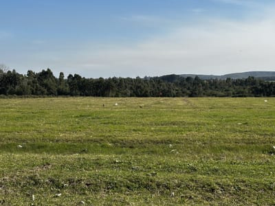 Venta lote para fraccionamiento, San Carlos