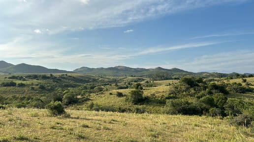 Venta chacra Maldonado rural