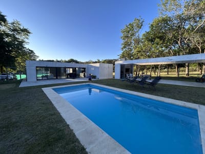 Verde mora