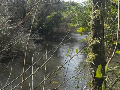 Venta chacra sobre arroyo Maldonado