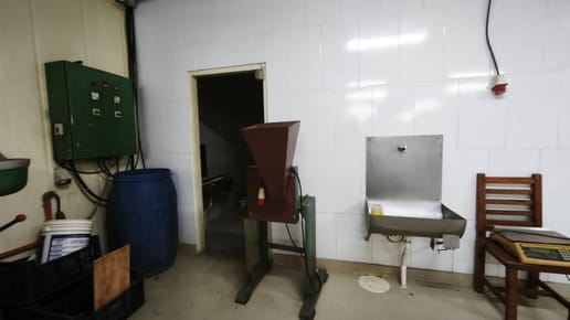Oportunidad Industrial y Comercial: Complejo con Cámaras Frigorificas en Ita