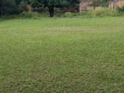 Vendo hermoso terreno en Luque