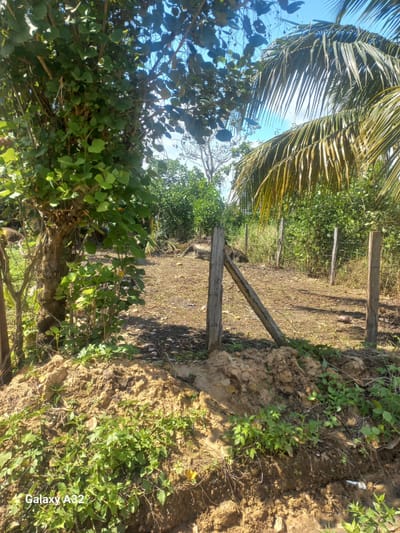 ¡GRAN OPORTUNIDAD! TERRENO EN TARAPOTO – MORALES, a 2 min de YAKUPARK