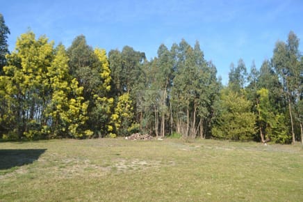 Chacra Marítima en Fortín de Santa Rosa