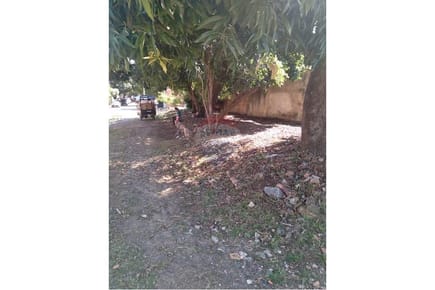 Terreno - Venta - Barrio Jara, Asunción, Paraguay
