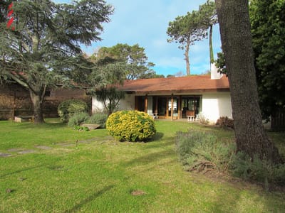 Casa en Paradas ideal para vivir todo el año.