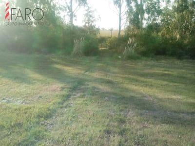 Chacra en Venta en Ruta 9 de 5 hectáreas