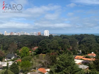 Cómodo apartamento en Roosevelt