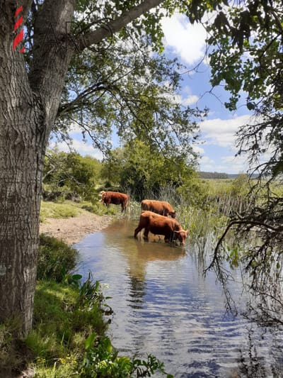 Chacra en venta, San Carlos, zona Partido Norte