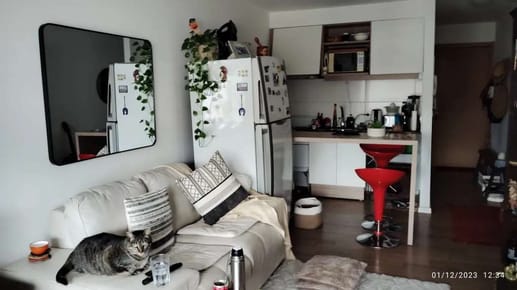 Apartamento en alquiler en Pocitos