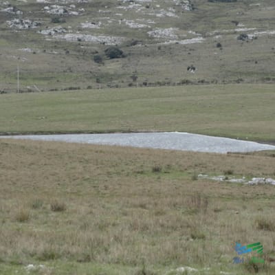BAJO DE PRECIO...Campo sobre R.12 y a menos de 1 hora de Punta. Suelos 2.12, buenas vistas y gran potencial turístico !