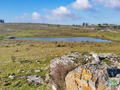 Vendo chacras en Ruta 9, entre ruta 12 y Pan de Azucar, Maldonado. FINANCIO.
