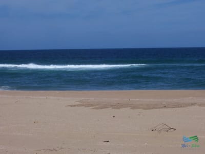 145 Has al Sur de Ruta 10 con vista al Mar, Precio Reducido !