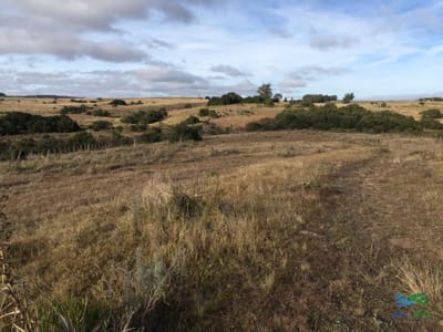 47 Has a 20 minutos Jose Ignacio y 3 kms de R.9