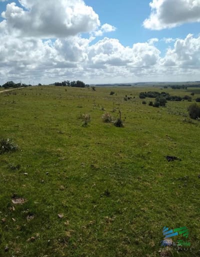 Linda Fraccion de Campo Agricola - Ganadero 177 Has Castillos