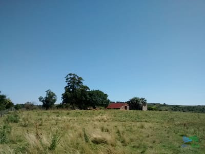Lindo campo ganadero de 78 Has muy bien ubicado, muy pintoresco.