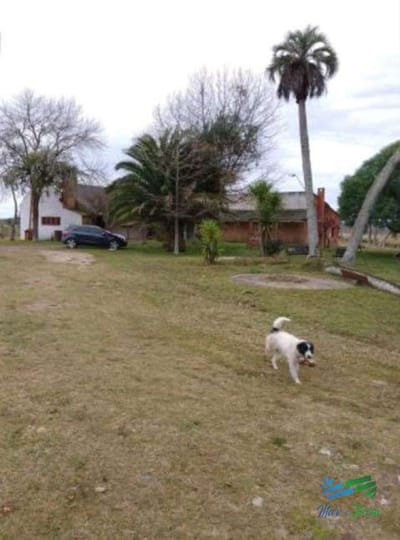 Buen campo ganadero con muy buen acceso sobre ruta