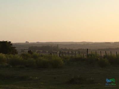 25 Has José Ignacio