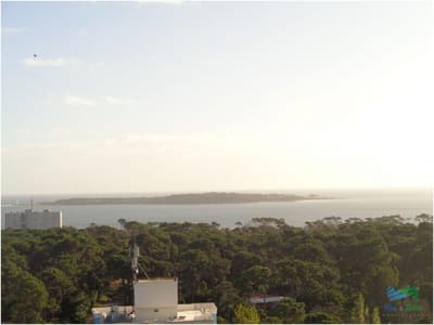 Apartamento en Roosevelt, 3 dormitorios *