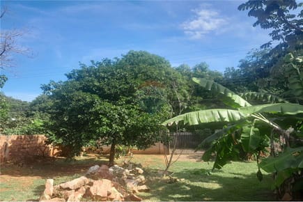 Excelente Oportunidad Vendo Lote en Ñemby
