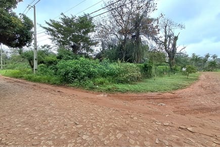 Terreno-Venta-Los Olmos esq. Iguazú, San Lorenzo, Central
