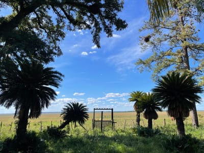 Vendo 2,217 hectáreas en Misiones 