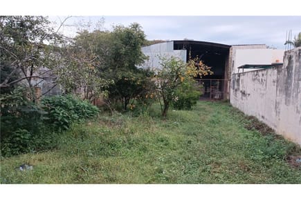 Terreno-Venta-Cañada del Carmen casi Monseñor Roa, Itá Enramada, Asunción