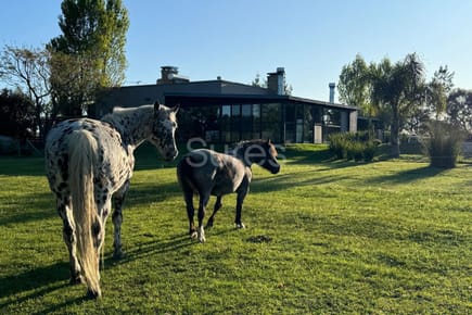 Alquiler de chacra de 4 dormitorios en la Tahona