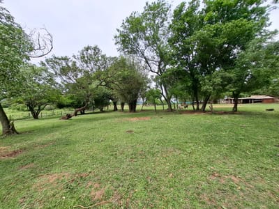 Terreno en venta
