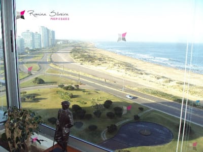 Brava primera linea al mar