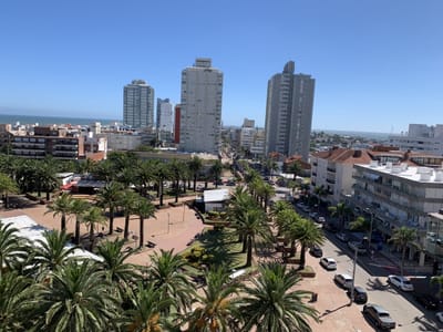 VENTA APARTAMENTO 1 DORMITORIO Y MEDIO PENINSULA PUNTA DEL ESTE