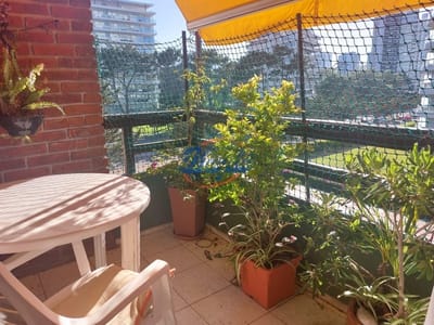 Apartamentos en Playa Brava