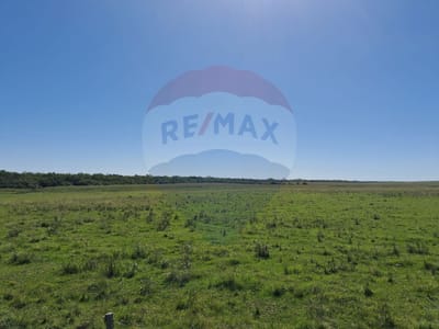 Venta Campo Río Negro - Ganadero Agrícola 350 has