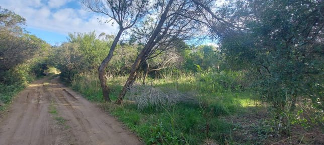 TERRENO EN VENTA A 400 M DEL MAR S. I. LA PEDRERA
