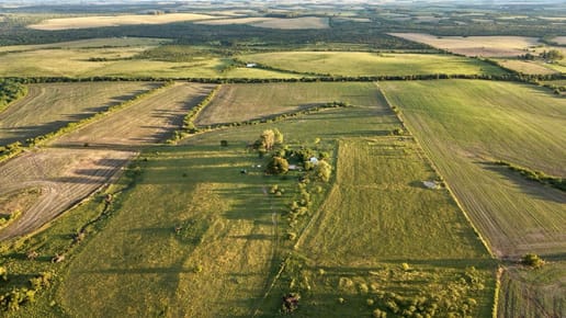 CAMPO 180 HAS. AGRICOLA GANADERO PAYSANDU
