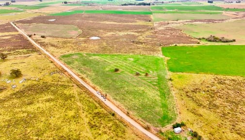 Venta 37 hectáreas próximo a Ruta 5