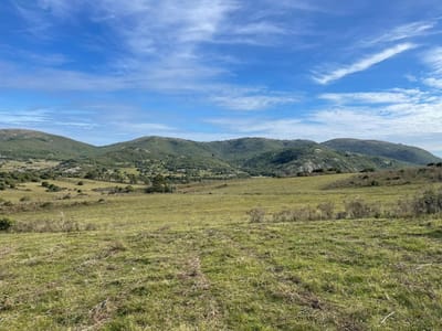 VENTA CHACRA 5 HA AGUAS BLANCAS