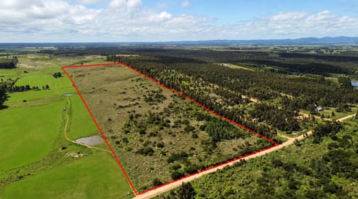 Venta Campo 23,2hás con frente a Ruta 103 Araminda