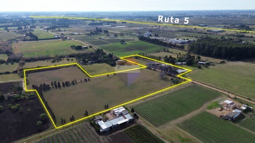 VENTA CAMPO+CHACRA  4.5 Ha. LAS PIEDRAS CANELONES