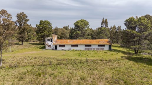Venta Campo, Soca, 8 htas vivienda galpon
