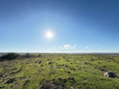 VENTA CAMPO TACUAREMBÓ 243 HECTAREAS