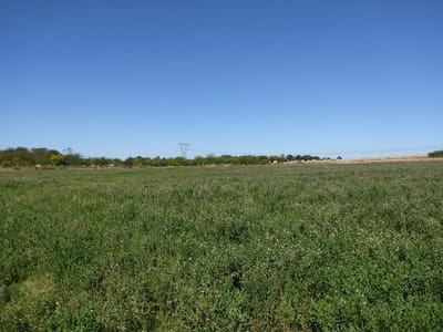Venta Campo casi 4 hás, a 1 cuadra de Ruta 75
