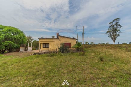 Venta de campo 12Ha. con casa en Ruta 80 Migues