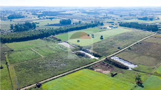 VENTA DE CAMPO 4 HECTAREAS CON TAJAMAR RUTA 75
