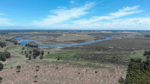 Venta de campo 76Has con costa