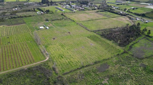 Venta de terreno de 3,850 hectáreas Melilla