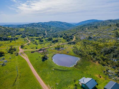 VENTA DE CHACRAS DE 15 HECTAREAS EN LAVALLEJA