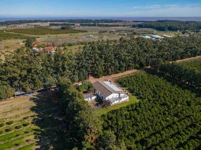 VENTA DE CHACRA 20 has EN PUNTA ESPINILLO
