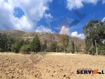 LOTE EN VENTA DE 4237 M2, CAMINO TARATA INMEDIACIONES LAGUNA DE LA ANGOSTURA