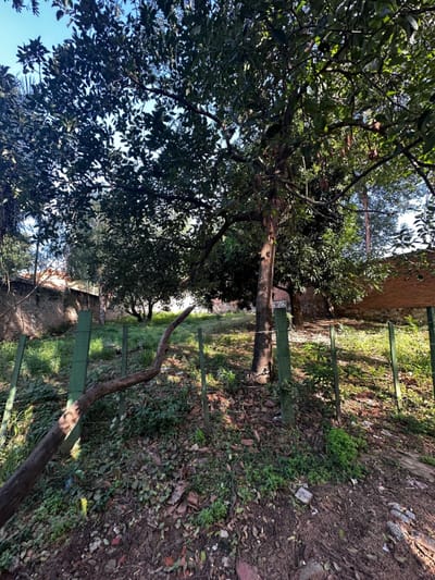 VENDO TERRENO EN LAS LOMAS - ASUNCIÓN